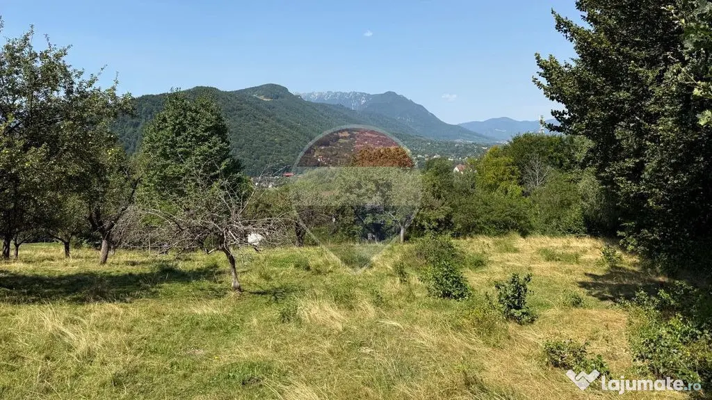 Comision 0% | Teren intravilan 2.700 mp | Sohodol – Bran | Priveliște - Sohodol (Brasov)