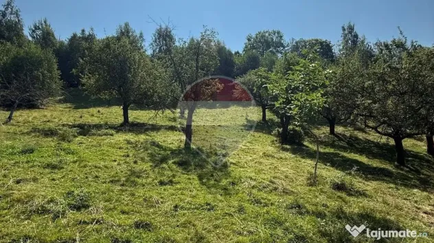 Comision 0% | Teren intravilan 2.700 mp | Sohodol – Bran | Priveliște - Sohodol (Brasov)