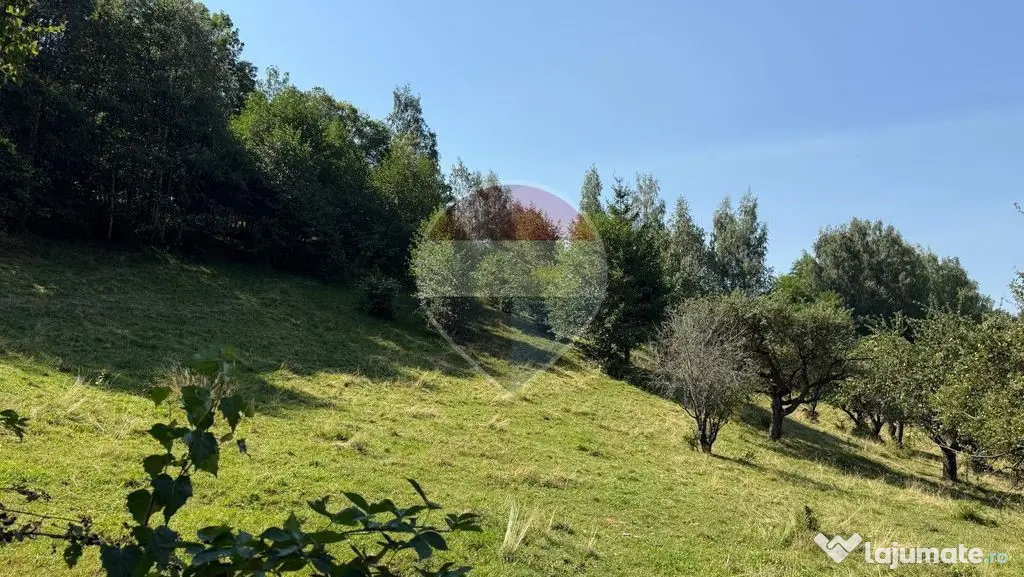Comision 0% | Teren intravilan 2.700 mp | Sohodol – Bran | Priveliște - Sohodol (Brasov)