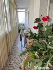Apartament 2 camere decomandat 52 mp Zorilor Cluj Napoca 