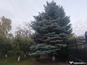 Casa la cheie mobilata si utilata cu 2500mp teren in oras 