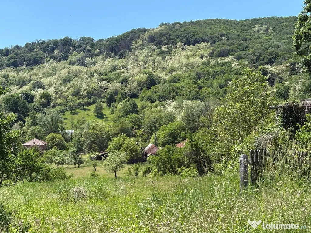 De vanzare: Teren 1000 mp intravilan in Bunesti - Malureni, Arges - Malureni (Arges)
