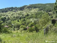 De vanzare: Teren 1000 mp intravilan in Bunesti - Malureni, Arges 