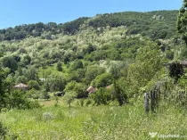 De vanzare: Teren 1000 mp intravilan in Bunesti - Malureni, Arges