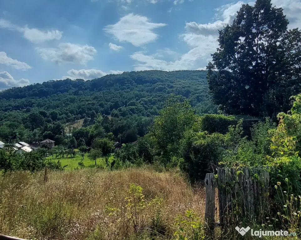 De vanzare: Teren 1000 mp intravilan in Bunesti - Malureni, Arges - Malureni (Arges)