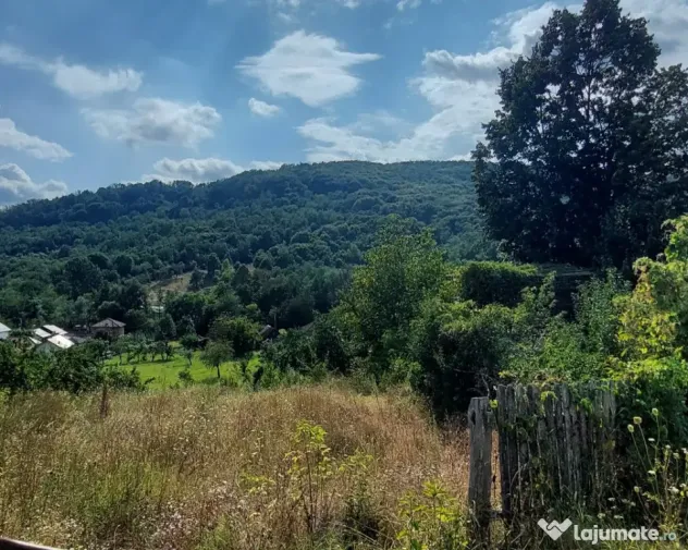 De vanzare: Teren 1000 mp intravilan in Bunesti - Malureni, Arges - Malureni (Arges)