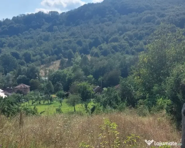 De vanzare: Teren 1000 mp intravilan in Bunesti - Malureni, Arges - Malureni (Arges)