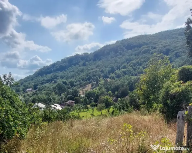 De vanzare: Teren 1000 mp intravilan in Bunesti - Malureni, Arges - Malureni (Arges)