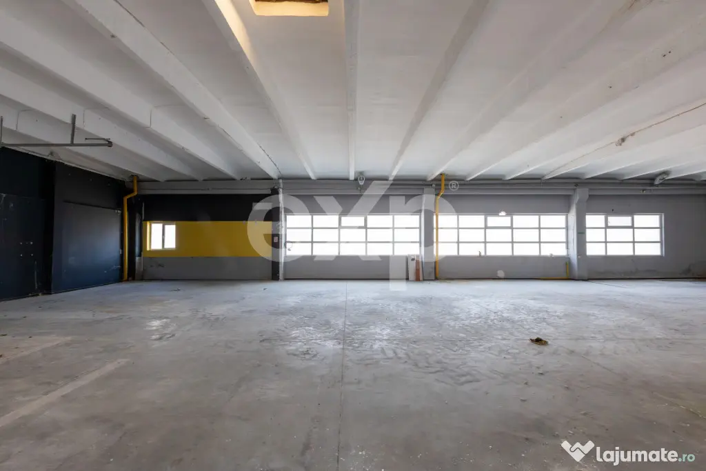 Două hale de închiriat – 863 mp | Calea Moinești | Zon? - Margineni (Bacau)