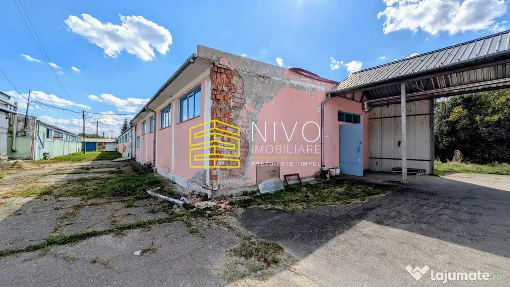 Clădire industrială – Hale – Mureș - Voiniceni - Voiniceni (Mures)