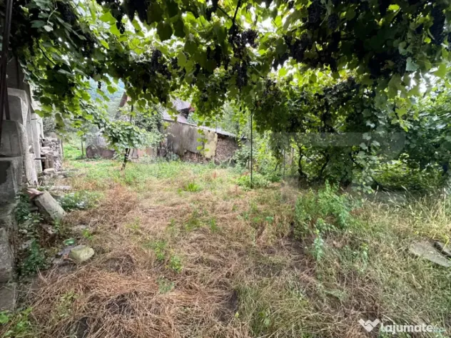 Casă renovabilă Nepos | teren 660 mp | 120mp - Nepos (Bistrita-Nasaud)