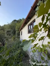 Casă de vânzare cu teren generos