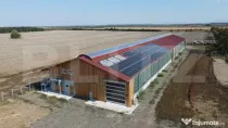 Ferma noua, moderna si complet utilata, de bovine de inchiri