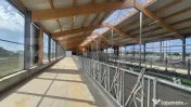 Ferma noua, moderna si complet utilata, de bovine de inchiri 