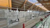 Ferma noua, moderna si complet utilata, de bovine de inchiri 
