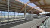 Ferma noua, moderna si complet utilata, de bovine de inchiri 