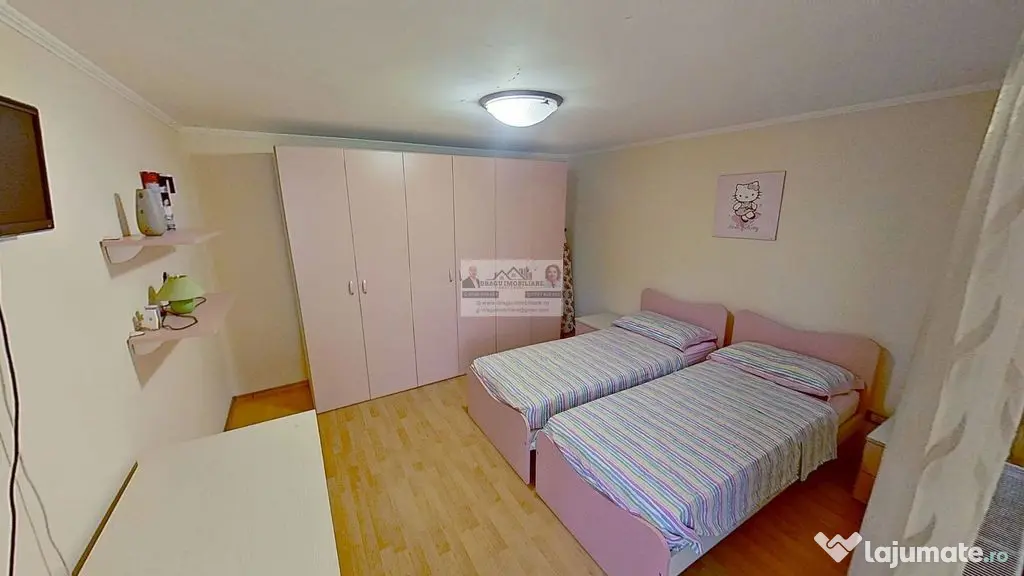 Casă cu teren generos și livadă – Păunești, Vișioara - Paunesti (Vrancea)
