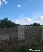 Casă locuibilă cu teren 2.809 mp și anexe, la doar 20 min 