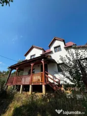 Două case pe 962 mp teren, Ocoliș – renovate 2024, înc? 