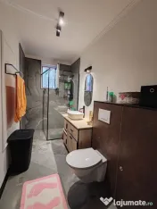 Două case pe 962 mp teren, Ocoliș – renovate 2024, înc? 