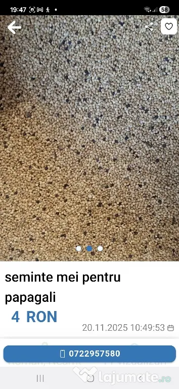 Seminte mei pentru papagali
