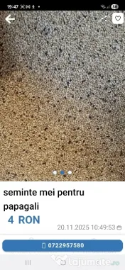 Seminte mei pentru papagali 