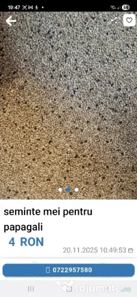 Seminte mei pentru papagali