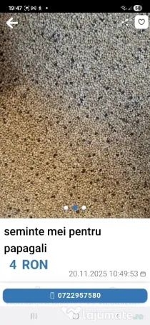 Seminte mei pentru papagali