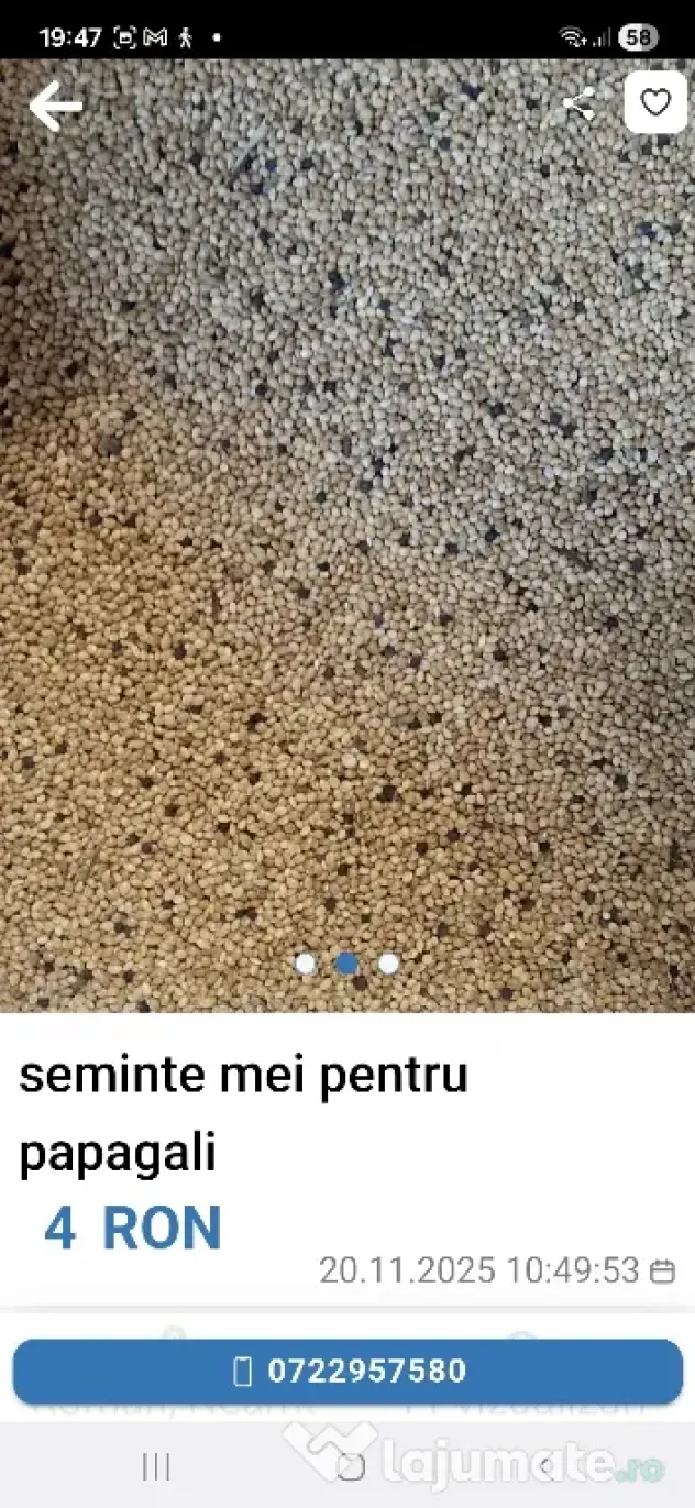 Seminte mei pentru papagali