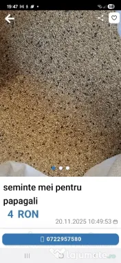 Seminte mei pentru papagali 