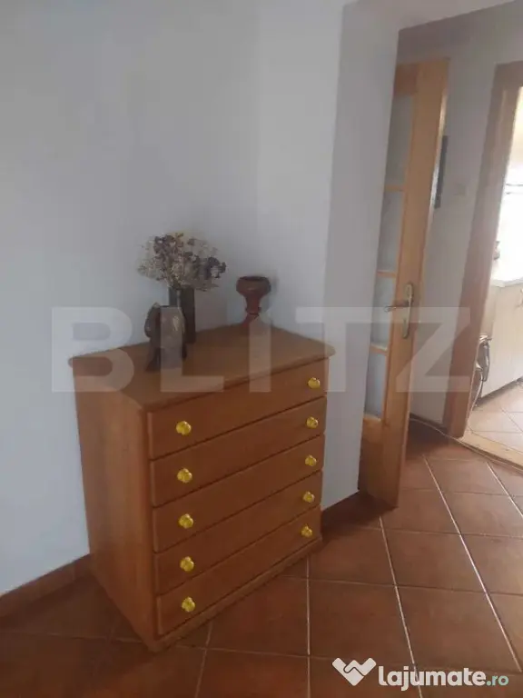 Apartament patru Camere Pacurari - Iasi (Iasi)