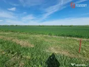 Teren extravilan de 9500 mp de vanzare in Remetea Mare 