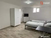 Casa individuala cu 16 camere de inchiriat, zona Sag