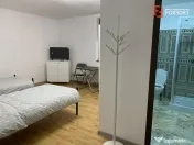 Casa individuala cu 16 camere de inchiriat, zona Sag
