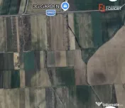Teren extravilan de 6300 mp - Mosnita Veche