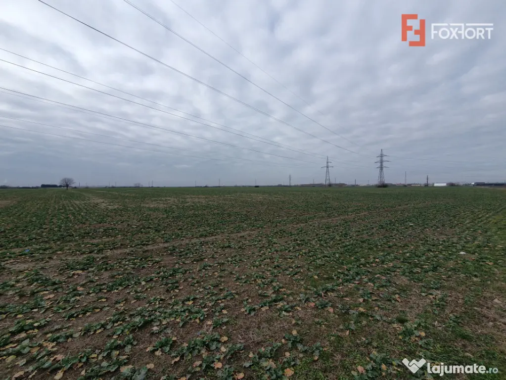 Teren extravilan pretabil constructii industriale - zona Cal - Timisoara (Timis)