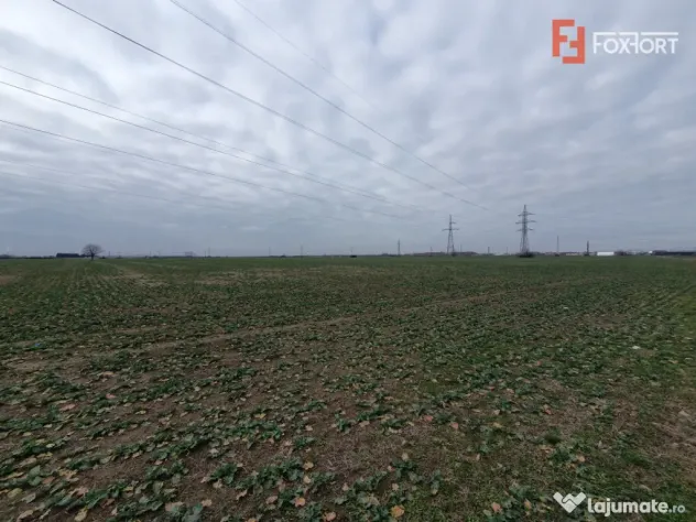 Teren extravilan pretabil constructii industriale - zona Cal - Timisoara (Timis)