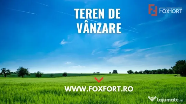 Teren extravilan pretabil constructii industriale - zona Cal - Timisoara (Timis)