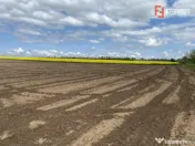 Teren Agricol | Opurtunitate investitie | Sananadrei - ID V7 