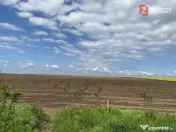 Teren Agricol | Opurtunitate investitie | Sananadrei - ID V7 