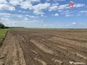Teren Agricol | Opurtunitate investitie | Sananadrei - ID V7 