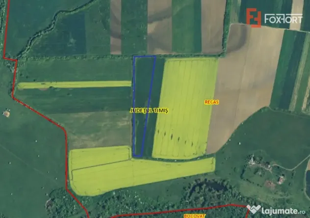 Teren extravilan agricol de 23.700 mp - Recas - Izvin - Recas (Timis)