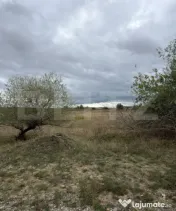 Teren de vanzare, 6.600 mp, zona Cornesti - Mihai Viteazu 