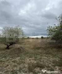 Teren de vanzare, 6.600 mp, zona Cornesti - Mihai Viteazu 