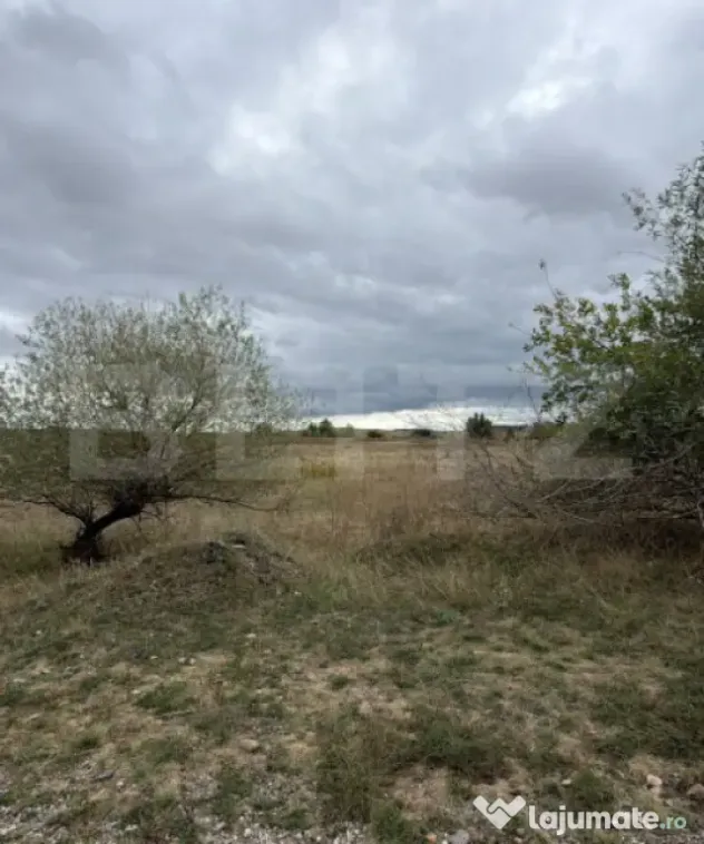 Teren de vanzare, 6.600 mp, zona Cornesti - Mihai Viteazu - Cornesti (Mihai Viteazu) (Cluj)