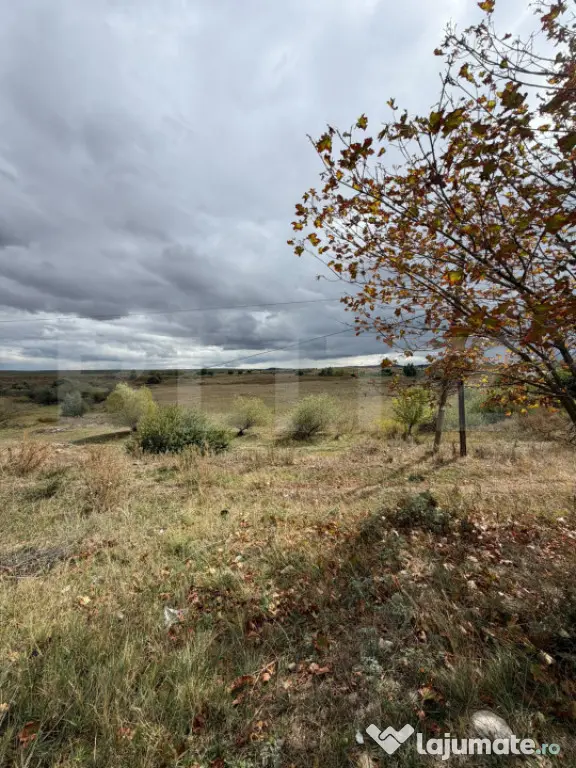 Teren de vanzare, 6.600 mp, zona Cornesti - Mihai Viteazu - Cornesti (Mihai Viteazu) (Cluj)