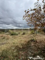 Teren de vanzare, 6.600 mp, zona Cornesti - Mihai Viteazu 