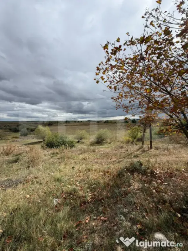 Teren de vanzare, 6.600 mp, zona Cornesti - Mihai Viteazu - Cornesti (Mihai Viteazu) (Cluj)