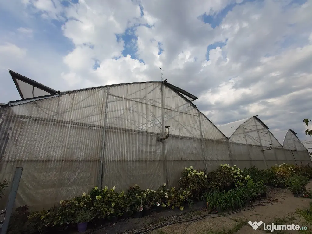 Oportunitate Sera PROFESIONALA EUROPROGRESS 2200 mp (SH) - Popesti Leordeni (Bucuresti-Ilfov)