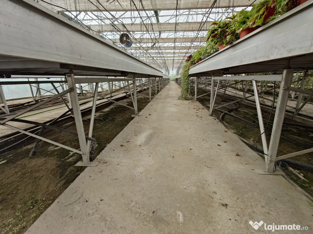 Oportunitate Sera PROFESIONALA EUROPROGRESS 2200 mp (SH) - Popesti Leordeni (Bucuresti-Ilfov)